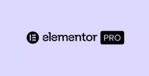 Elementor Pro