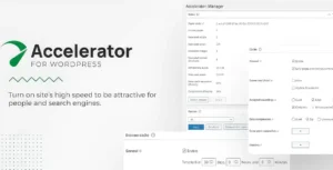 Seraphinite Accelerator Premium
